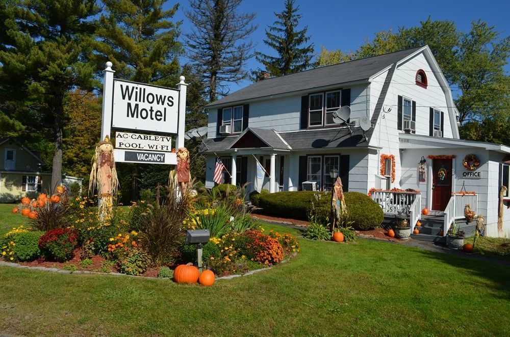 Willows Motel Williamstown Kültér fotó